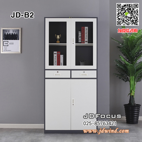 南京套色钢柜JD-B2,南京中二斗器械柜JD-B2套色钢柜,南京灰白套色文件柜钢柜JD-B2